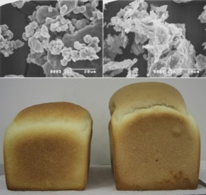 米粉形状（電顕写真）と製パン性の違い （左：乾式製粉、右：湿式製粉）